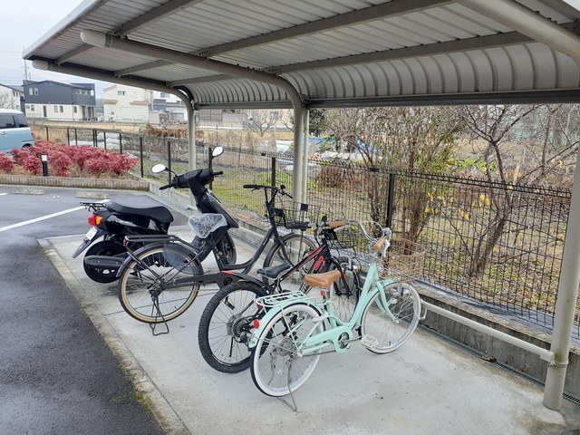 13/20 その他画像