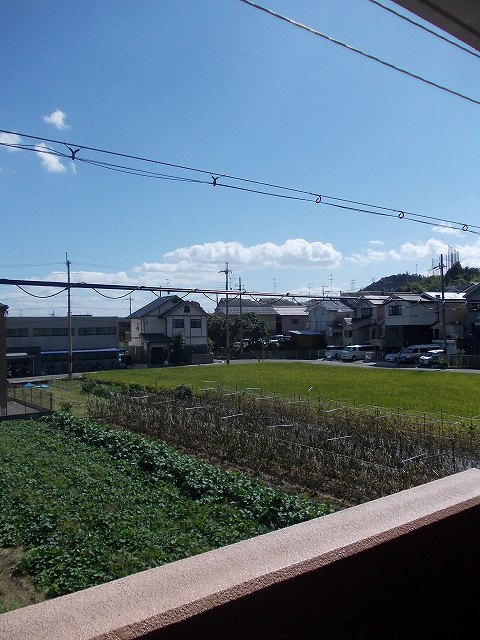 11/20 その他画像