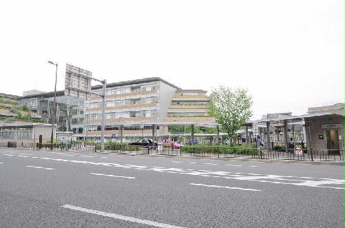 13/13 その他画像