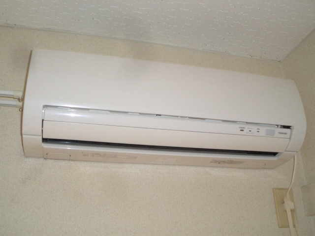 19/19 その他画像