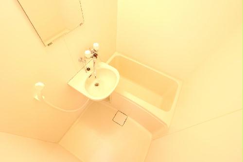 11/14 その他画像