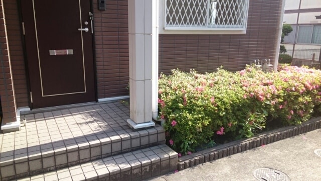 21/29 エントランス