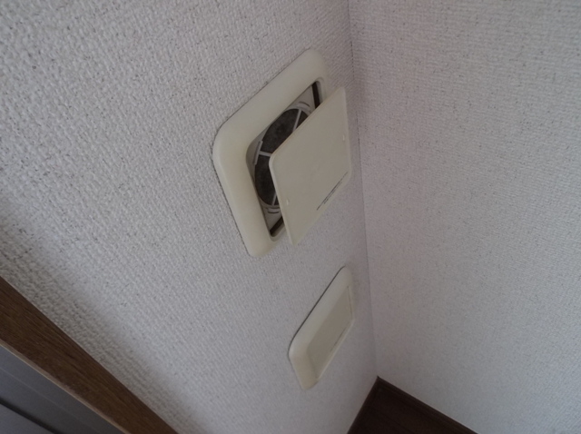 17/29 その他画像