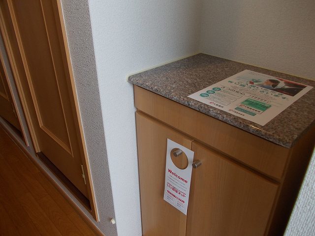 5/20 玄関
