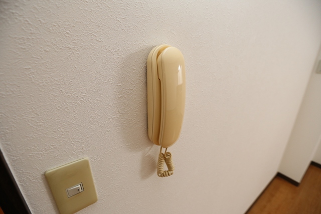 21/26 その他画像