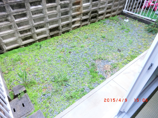 22/24 その他画像