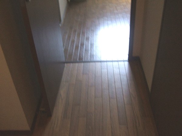 11/17 その他画像