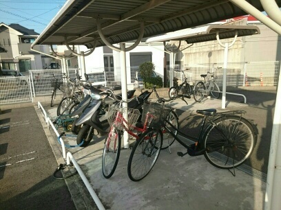 15/25 その他画像