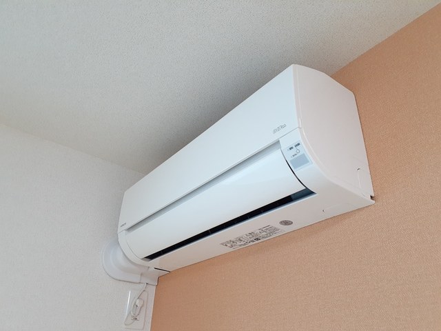 11/20 その他画像
