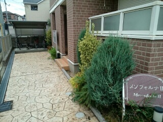 17/20 その他画像