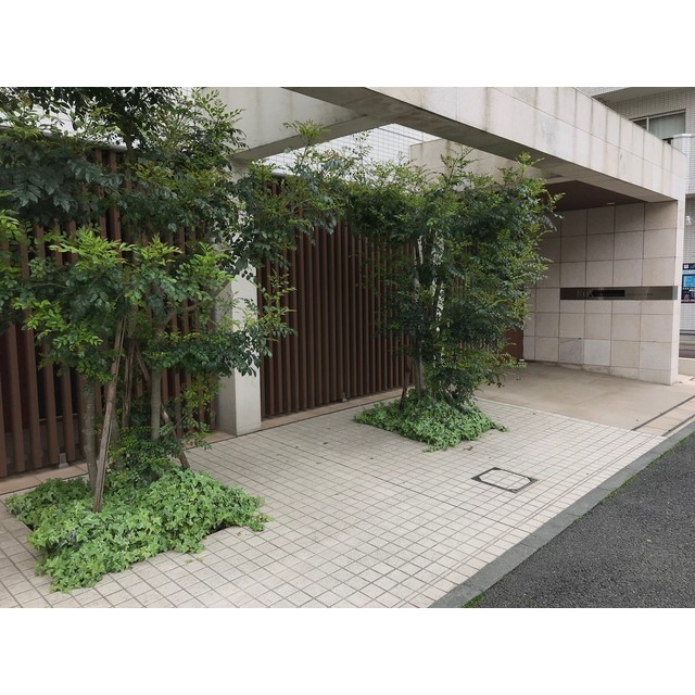 4/6 外観