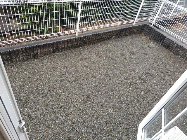 11/20 その他画像