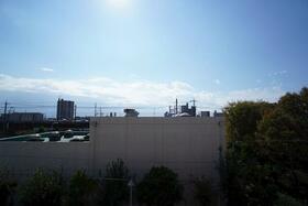 15/22 その他画像