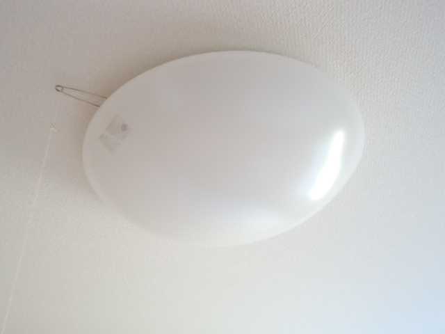 21/25 その他画像