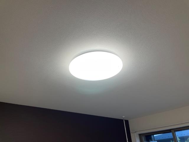 19/26 その他画像