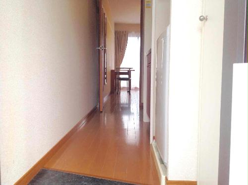 5/15 玄関