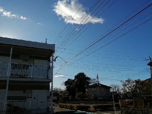 11/14 その他画像