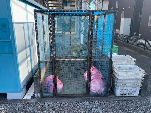 11/21 その他画像