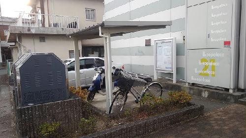 11/14 その他画像