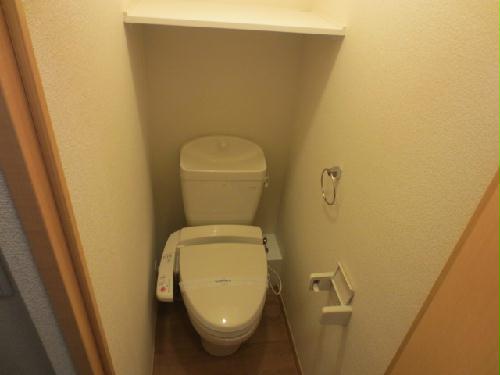 11/14 その他画像