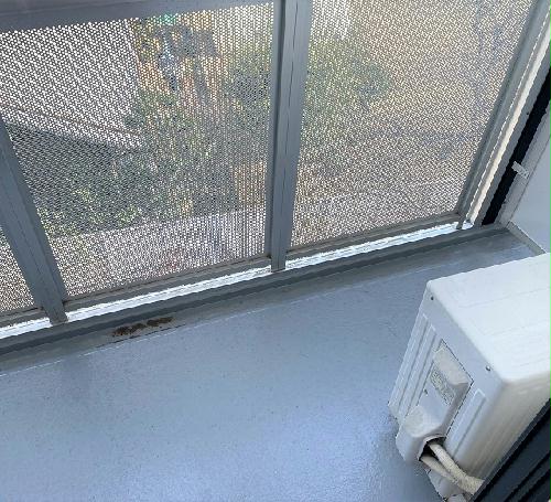 10/14 その他画像