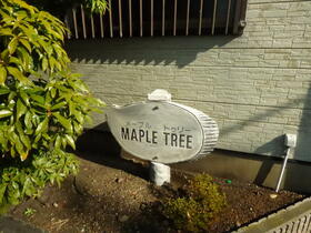 16/24 その他画像