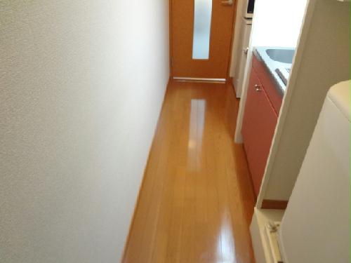 11/15 その他画像