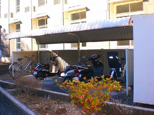 11/14 その他画像