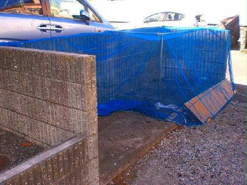 12/14 その他画像