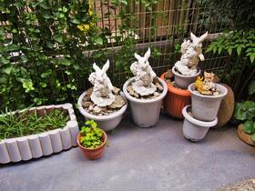 14/16 エントランス