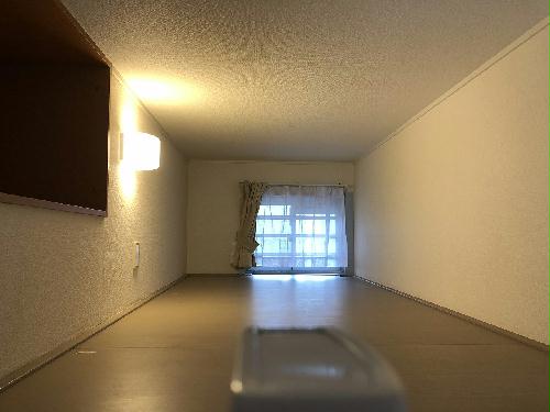 7/22 その他画像