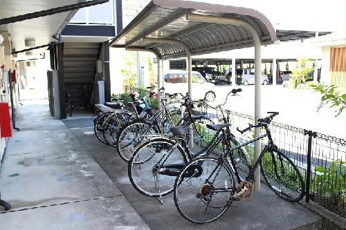 13/19 その他画像