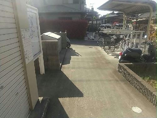 11/24 その他画像