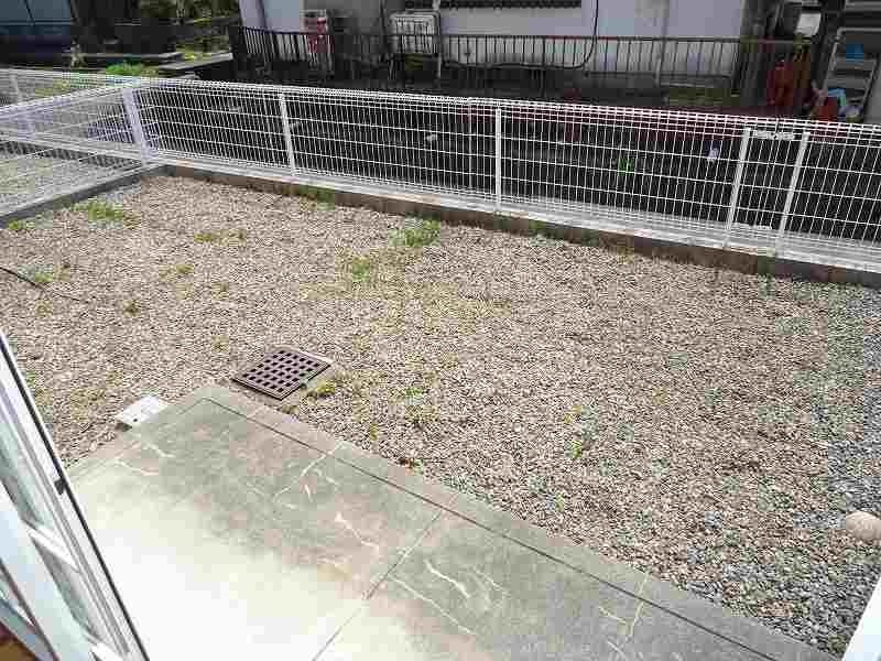 11/19 その他画像