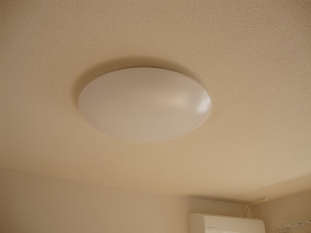 21/29 その他画像