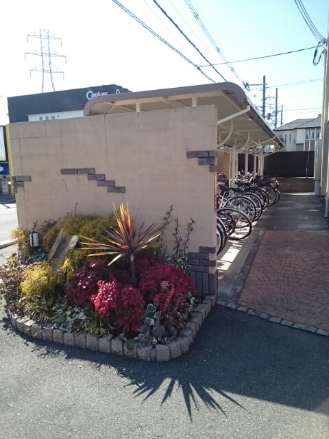 13/20 その他画像