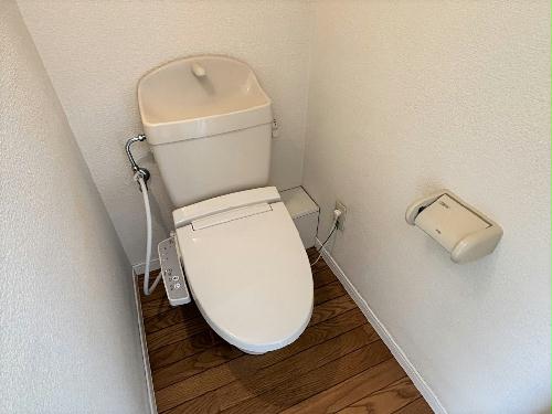 8/14 その他画像