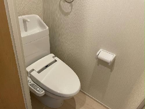 8/14 その他画像