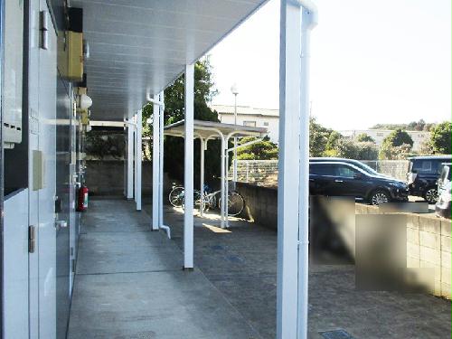 13/13 その他画像