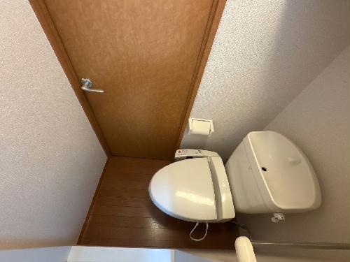 8/15 その他画像