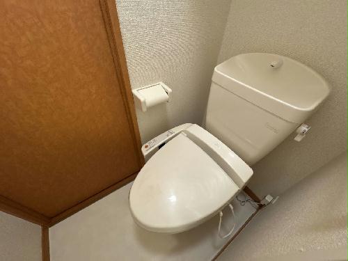 8/15 その他画像