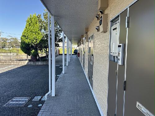 11/16 その他画像