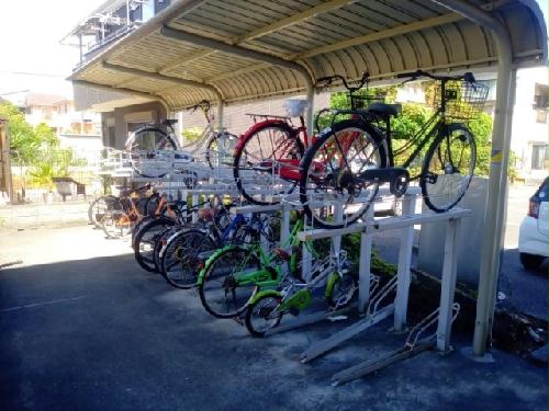 11/24 その他画像