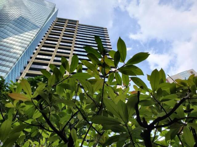 27/29 その他画像