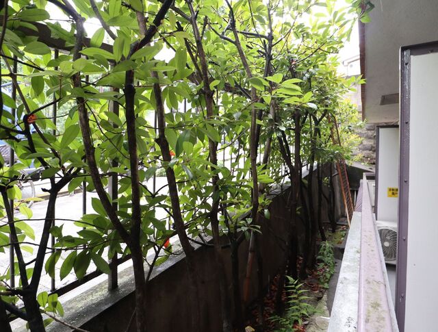 28/29 その他画像