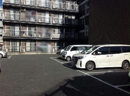 11/16 その他画像