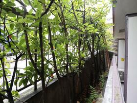 16/16 その他画像