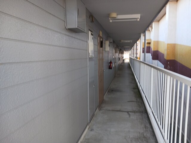 8/18 その他画像