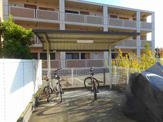 11/19 その他画像