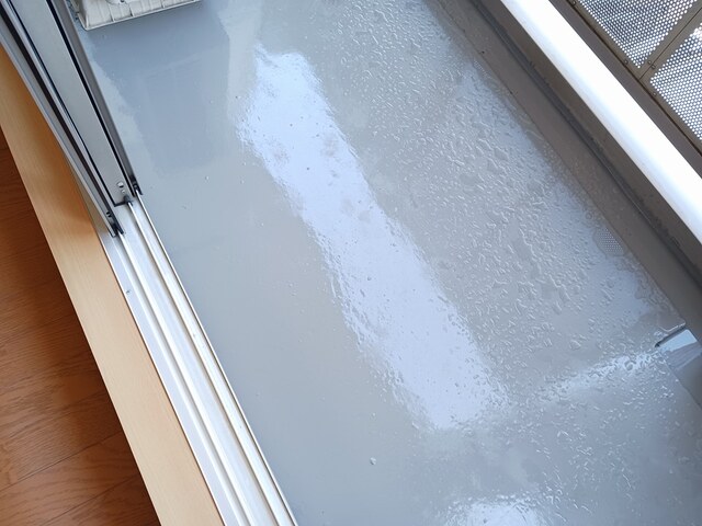 11/19 バルコニー